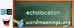 WordMeaning blackboard for echolocation